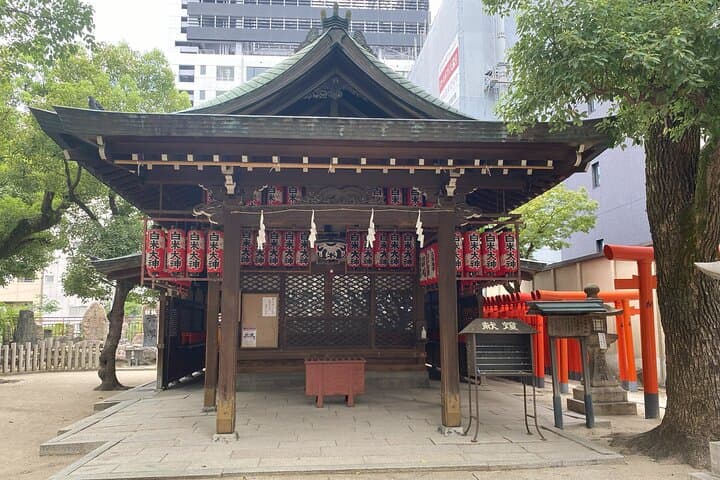 Guided Tour of Some Attractions in Osaka by Private Car — photo 3