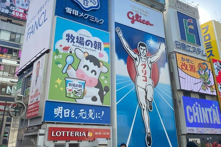 Guided Tour of Some Attractions in Osaka by Private Car — photo 10
