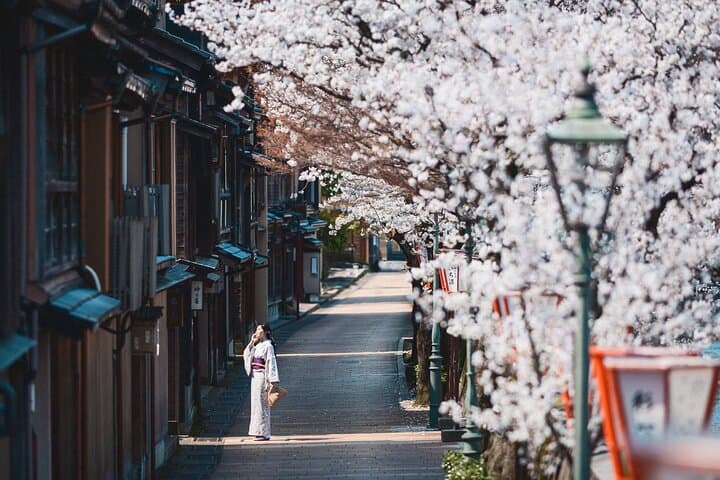 Personalized and Exclusive Photo shoot in Kanazawa — photo 16
