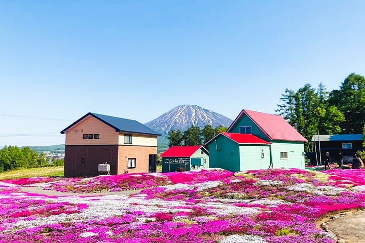 Wherever you want! 1-Day Private Tour from Sapporo to Furano more — photo 4