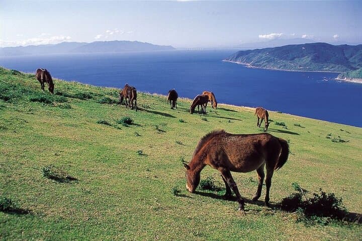 Miyazaki Private Tour by Car — photo 2