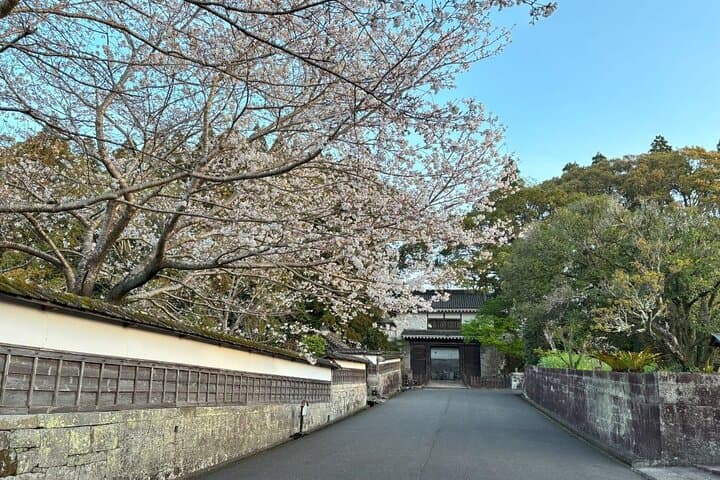 Miyazaki Private Tour by Car — photo 6