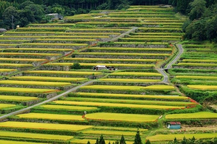 Miyazaki Private Tour by Car — photo 7
