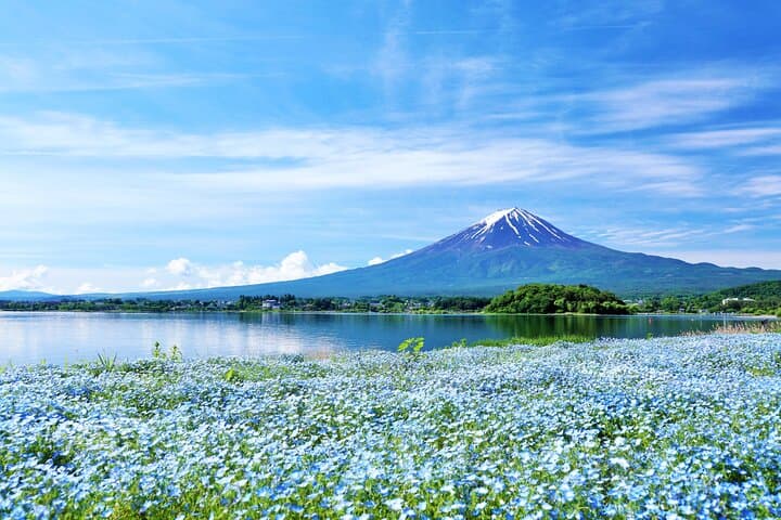 Discover Mt. Fuji area & Lake Kawaguchiko Sightseeing Day Tour — photo 10