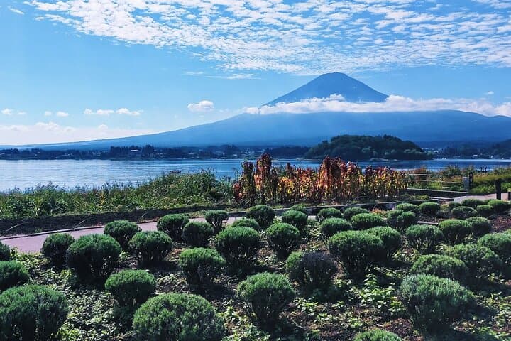 Mt Fuji and Lake Kawaguchi 1-Day Luxury Bus Tour From Tokyo — photo 10