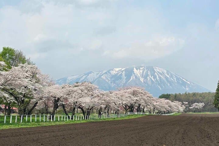 Mt. Iwate Panorama Cycling Tour: Culture and Scenic Views — photo 2