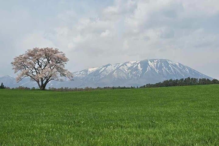 Mt. Iwate Panorama Cycling Tour: Culture and Scenic Views — photo 3