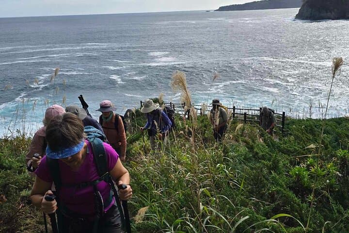 Michinoku Coastal Trail & Sea Kayak in Jodogahama — photo 7