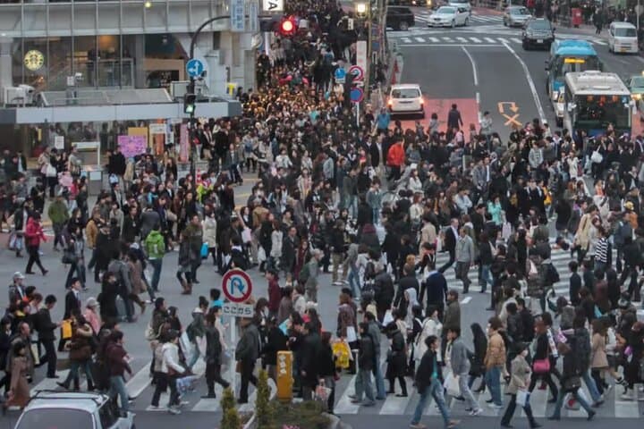 Explore Tokyo on a Private Walking Tour — photo 5