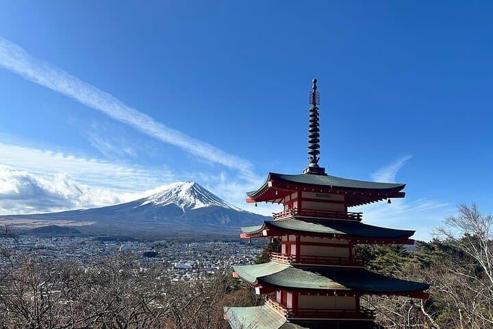 Mt Fuji Private Day Tour from Tokyo with English-Speaking Driver — photo 10