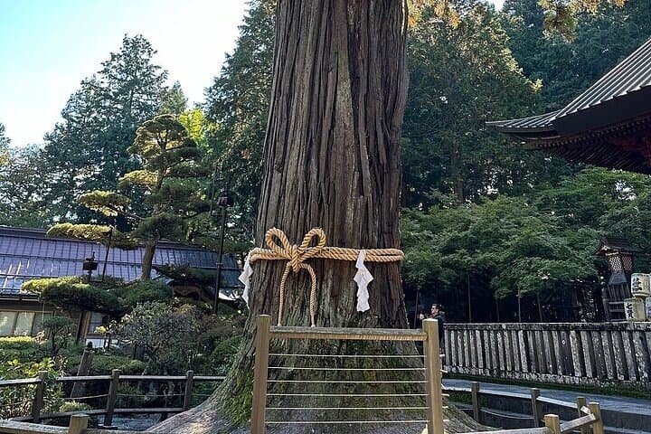 Mt Fuji Private Day Tour from Tokyo with English-Speaking Driver — photo 12