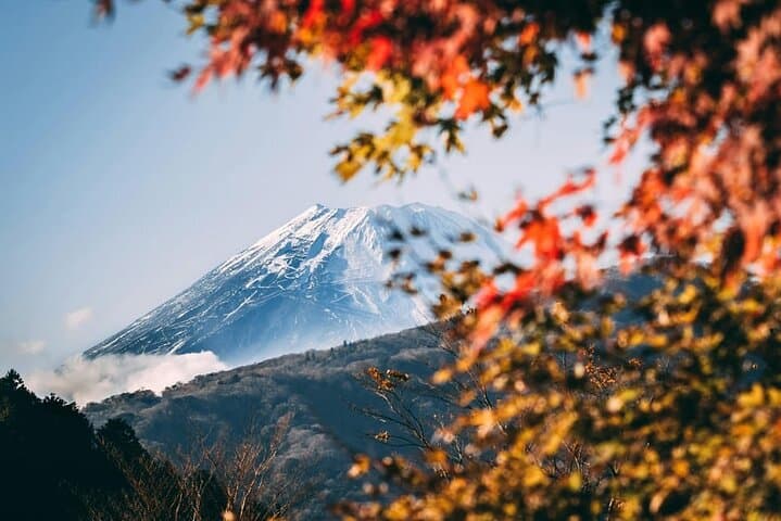 Mt Fuji Private Day Tour from Tokyo with English-Speaking Driver — photo 17