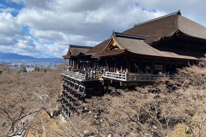 Kyoto Private Car Tour from Osaka to Gion and Fushimi — photo 4