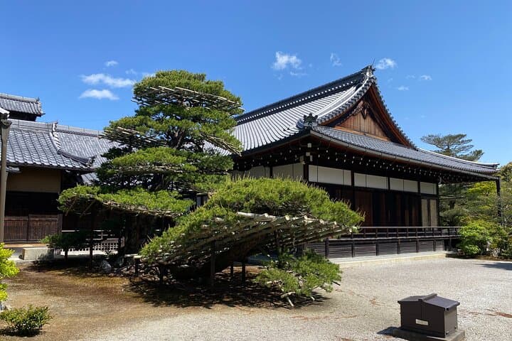 Kyoto Private Car Tour from Osaka to Gion and Fushimi — photo 5