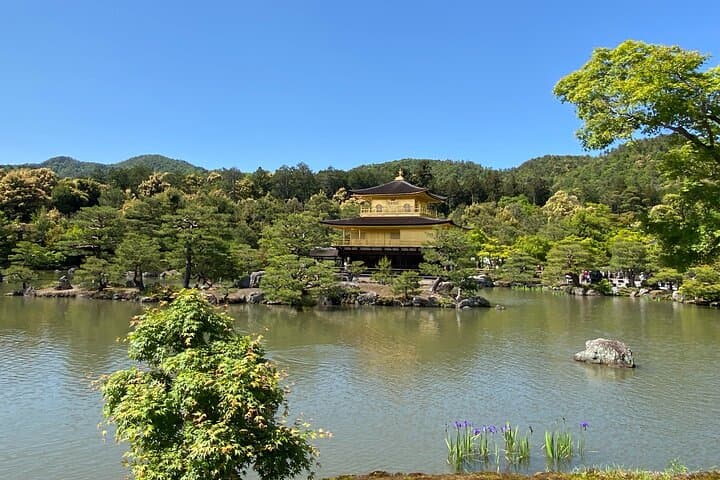 Kyoto Private Car Tour from Osaka to Gion and Fushimi — photo 8