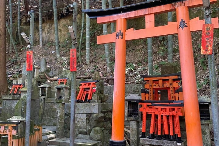 Kyoto Private Car Tour from Osaka to Gion and Fushimi — photo 11