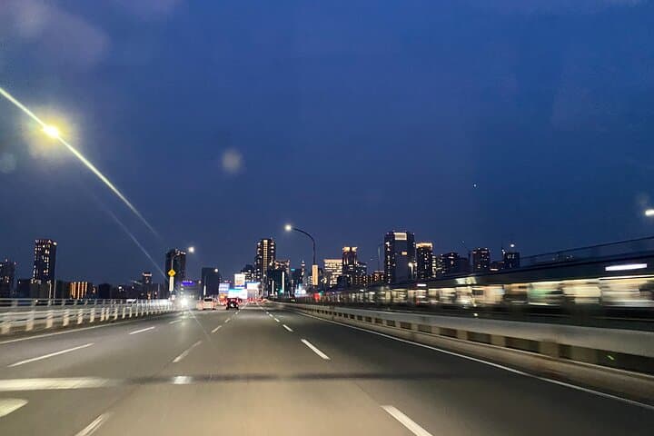 Guided Tour of Some Attractions in Osaka by Private Car — photo 11