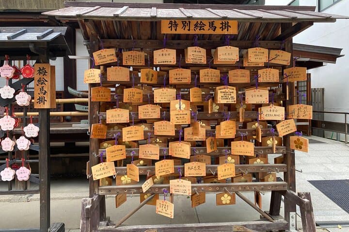 Guided Tour of Some Attractions in Osaka by Private Car — photo 17
