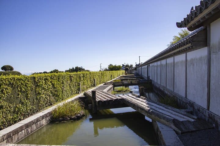 Private Car Tour from Shimizu Port to Visit Kakegawa Tea Culture — photo 3