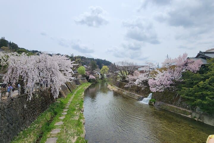 ENGLISH SPEAKING Private Full Day Tour Shirakawago/ Takayama — photo 19