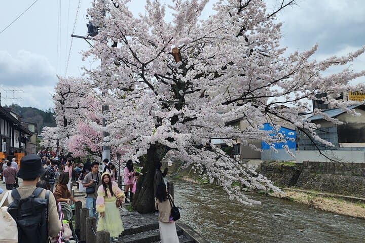 ENGLISH SPEAKING Private Full Day Tour Shirakawago/ Takayama — photo 20