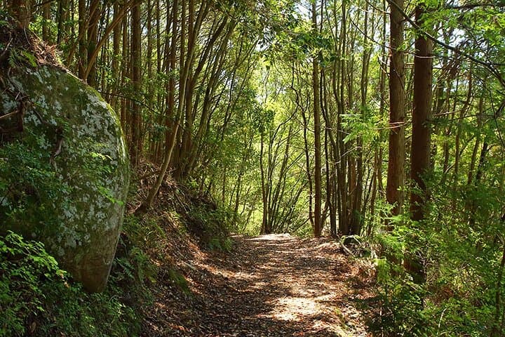 Kumano Kodo 2 Day Tour from Osaka — photo 2