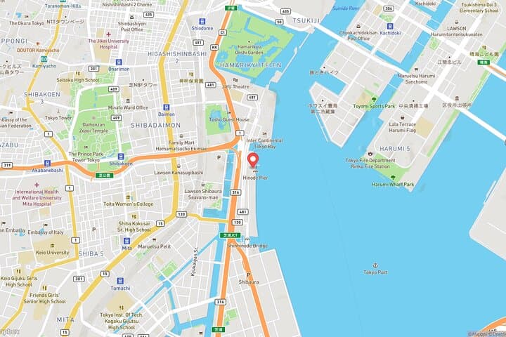Tokyo Bay Cruise Adventure with options — photo 9