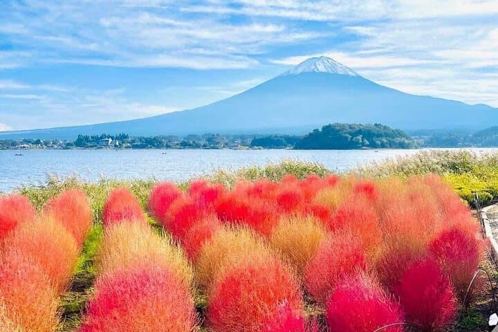 Vip | Mount Fuji Signature Tour | Private Luxury from Tokyo — photo 8