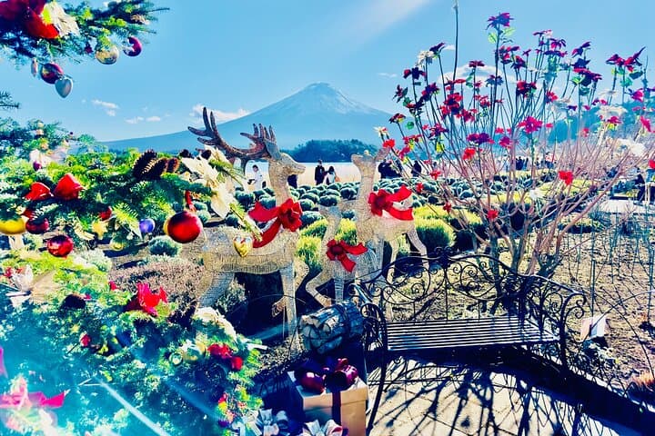 Vip | Mount Fuji Signature Tour | Private Luxury from Tokyo — photo 9