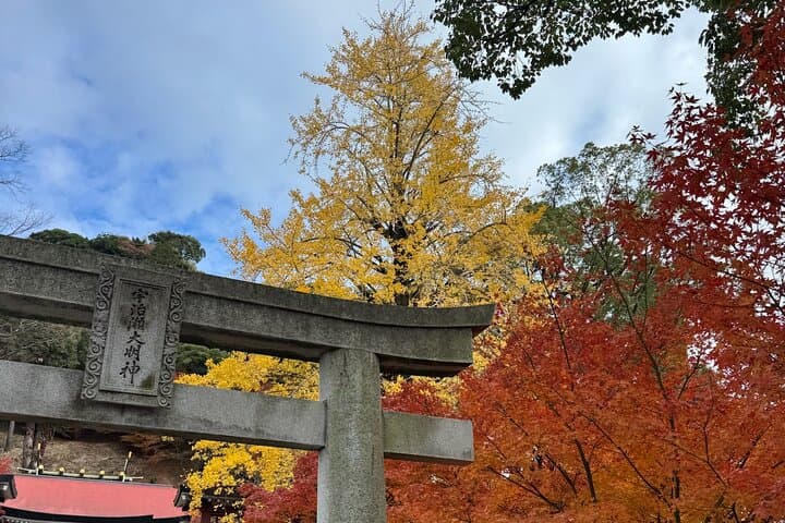 Hidden Gems of Kagoshima: Small-Group Zen Walking Tour — photo 15