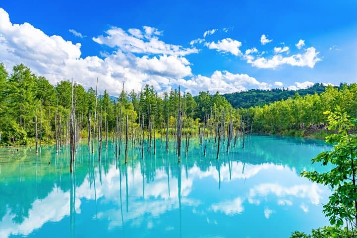 Hokkaido Private Tour starts from Sapporo