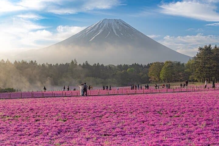 Mt Fuji Tour with Japanese Local Guide on Private Car from Tokyo — photo 3