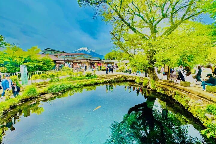 Vip | Mount Fuji Signature Tour | Private Luxury from Tokyo — photo 17