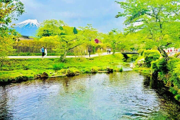 Vip | Mount Fuji Signature Tour | Private Luxury from Tokyo — photo 20
