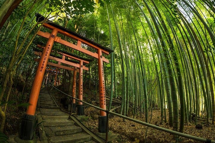 Private adventures into the hidden gems of greater Kyoto — photo 8