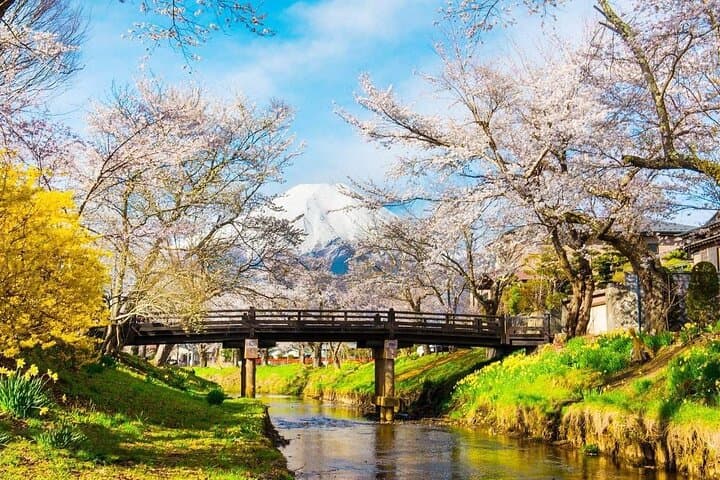 Mt. Fuji Classic One Day Tour from Tokyo — photo 4