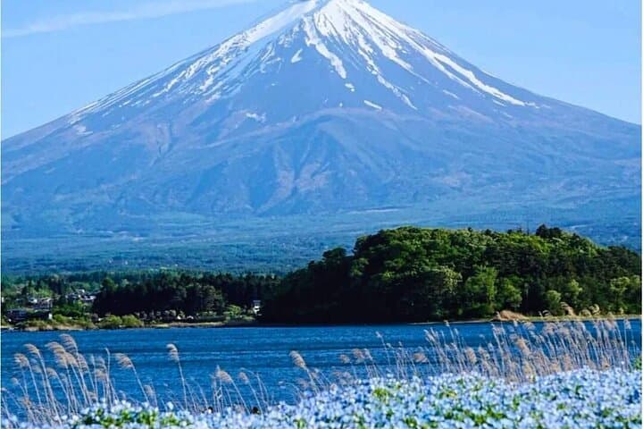 Mt. Fuji Classic One Day Tour from Tokyo — photo 6
