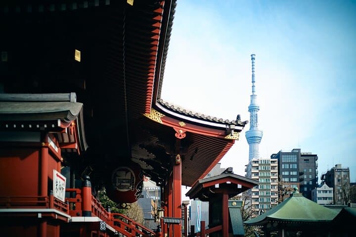 Vip | Tokyo Signature City Tour | Private Luxury Experience — photo 2
