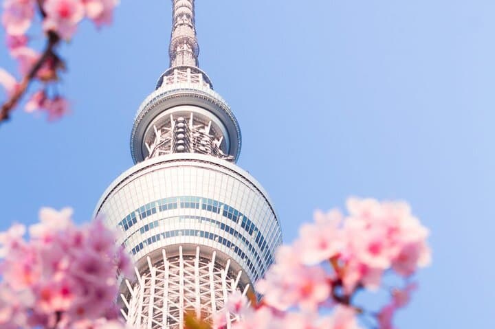 Vip | Tokyo Signature City Tour | Private Luxury Experience — photo 3