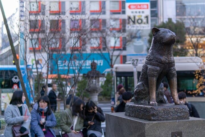 Vip | Tokyo Signature City Tour | Private Luxury Experience — photo 7