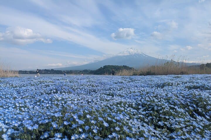 Explore Mt. Fuji : 2-Day Private Camping & Sightseeing Tour — photo 11