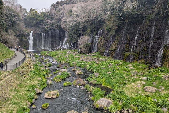 Explore Mt. Fuji : 2-Day Private Camping & Sightseeing Tour — photo 12