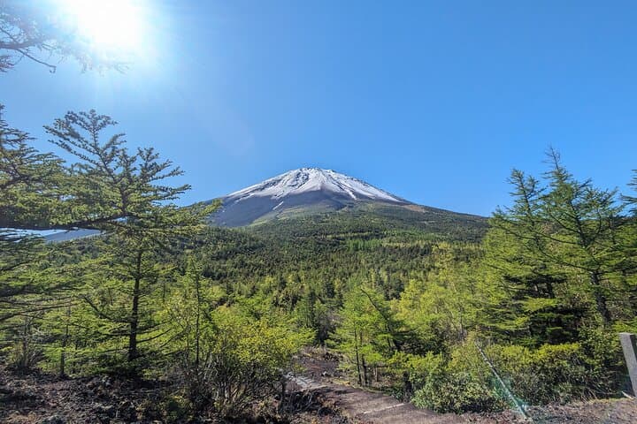 Explore Mt. Fuji : 2-Day Private Camping & Sightseeing Tour — photo 16