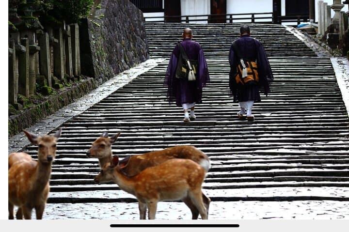 2-day Kansai world ExTour I tour around Osaka,Kyoto,Nara,andUji — photo 4