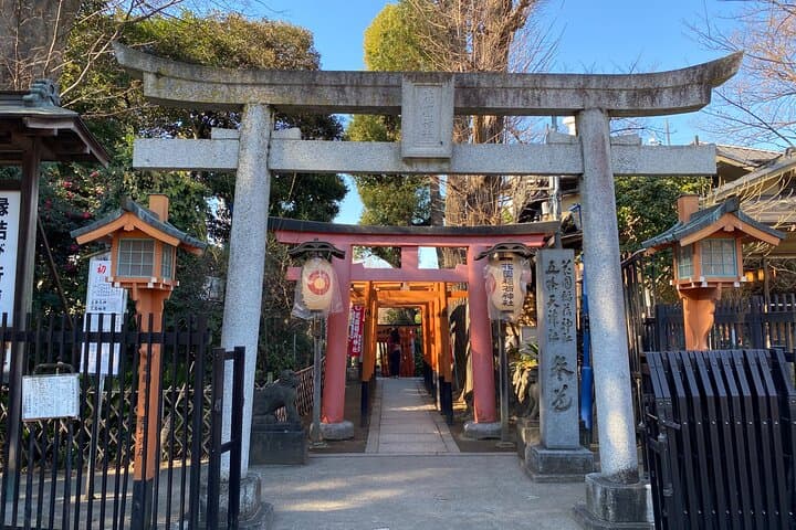 Ueno Park Ameyoko Market Walking Tour with Japanese Tokyo Local — photo 10