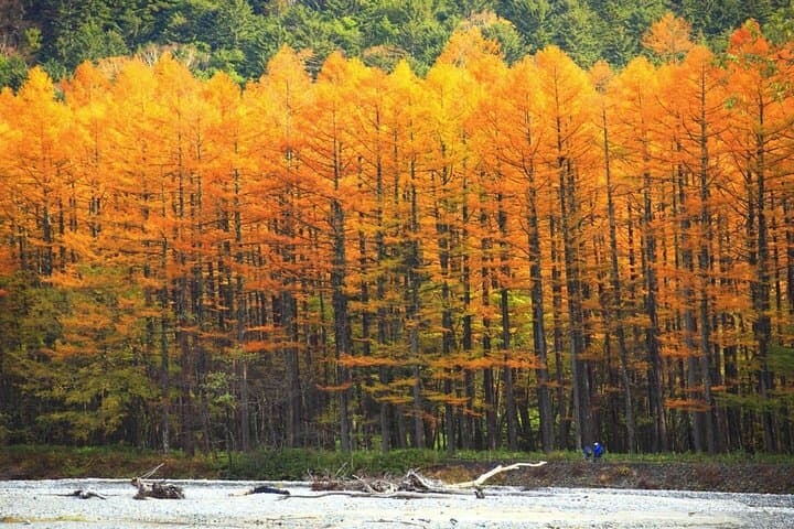 From Nagoya: Kamikochi Guided Hike in the Japanese Alps — photo 4