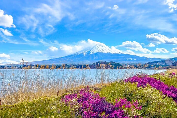 Mount Fuji, Kamakura, Big Buddha, & Lake Ashi Day Trip — photo 2