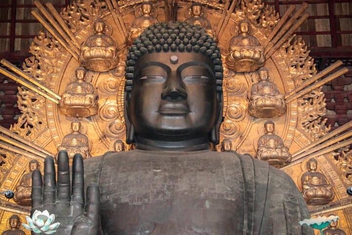 Osaka and Nara Day Tour with Private Transportation — photo 3
