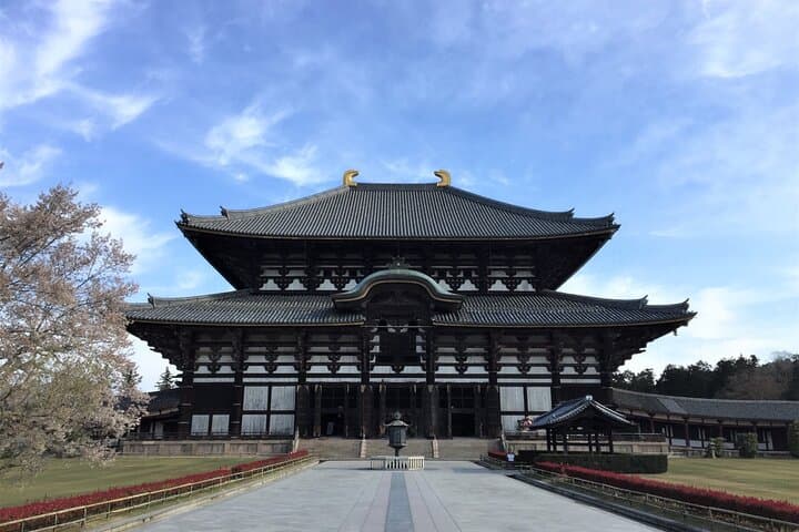 Osaka and Nara Minivan Tour with Small Group from Kyoto — photo 3