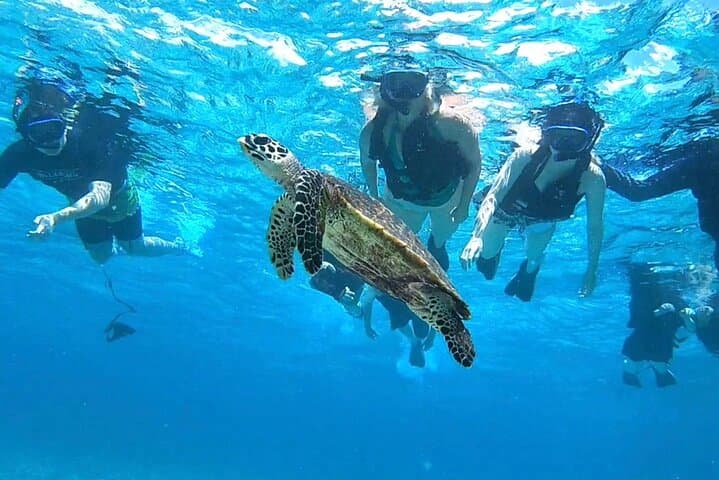 Okinawa Iriomote Island 1 Day Trip OK from Ishigaki Island!Complimentary photo data and equipment rental for Balas Island Snorkeling & Yufu Island Sightseeing — photo 3